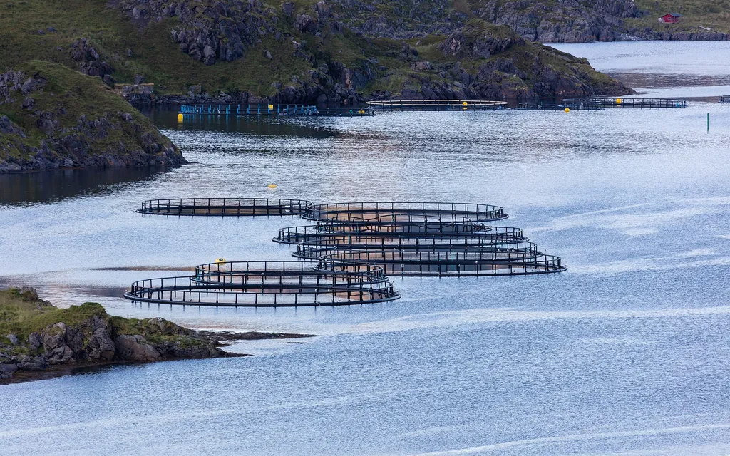 Seafood, energy, shipping and industry