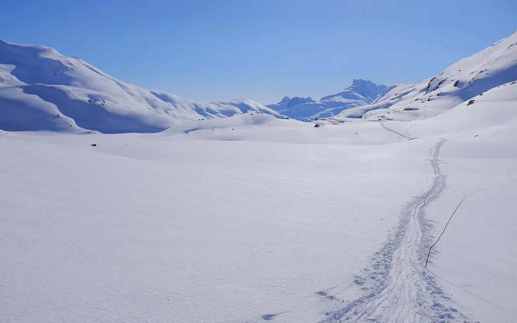 Born with skis on their feet Born with skis on their feet