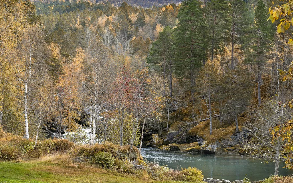 Oktober und November: Herbstferien, Halloween und Vatertag Oktober und November: Herbstferien, Halloween und Vatertag